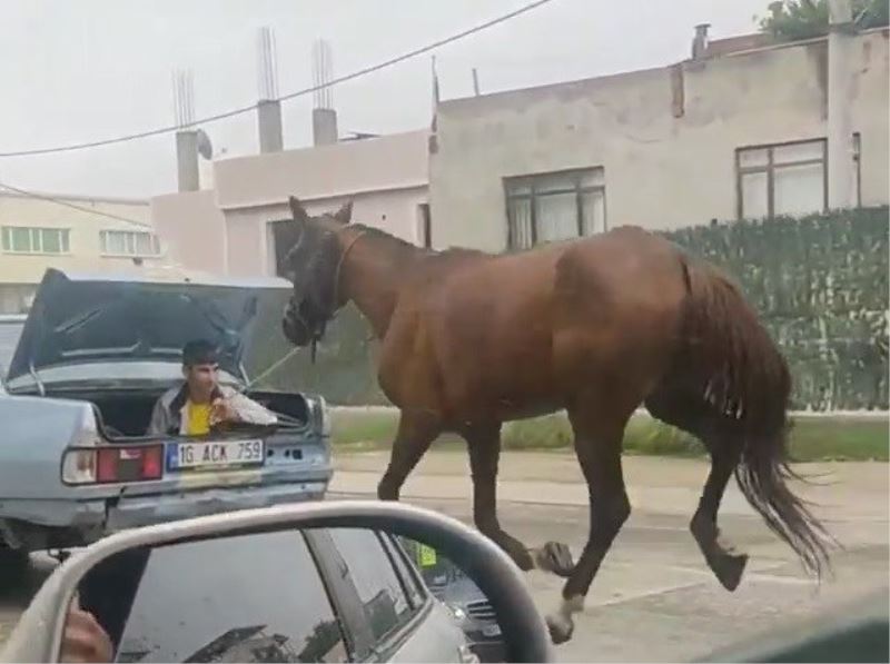 Bursa’da aracın arkasına at bağlayıp çevre yolunda koşturdu
