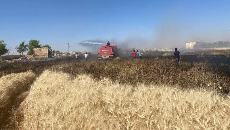 Buğdayın yandığını gören mahalleli tarlaya koştu
