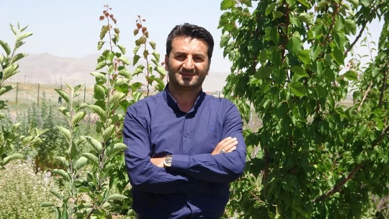 Otlu peynirde kullanılan bitkiler yok olma riski altında
