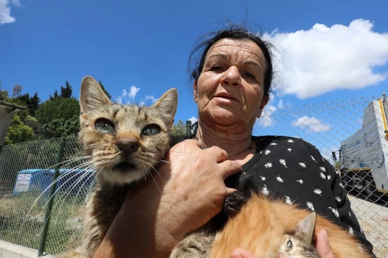 Sokak hayvanlarına adanmış bir ömür
