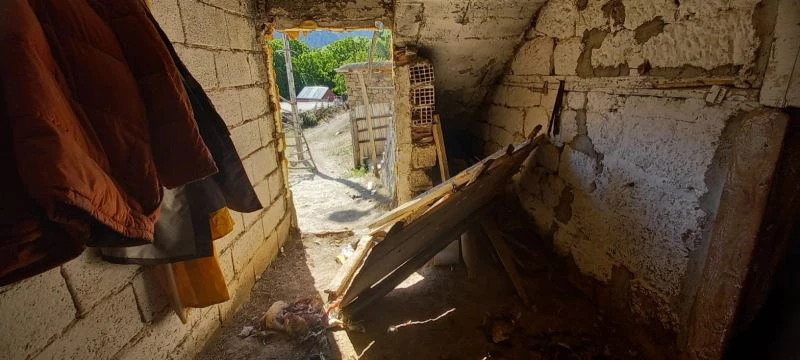 Kümeslere dadanan ayılar, tavukları telef etti
