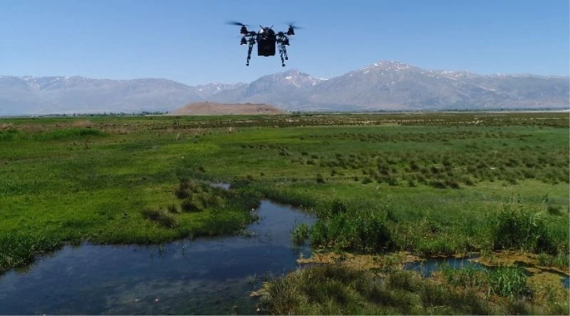 Ekşisu Mesire Alanı çevresi drone ile ilaçlanıyor
