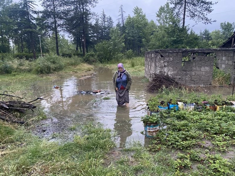 Yoğun yağmurda dereler taşınca tarım arazilerini su altında kaldı
