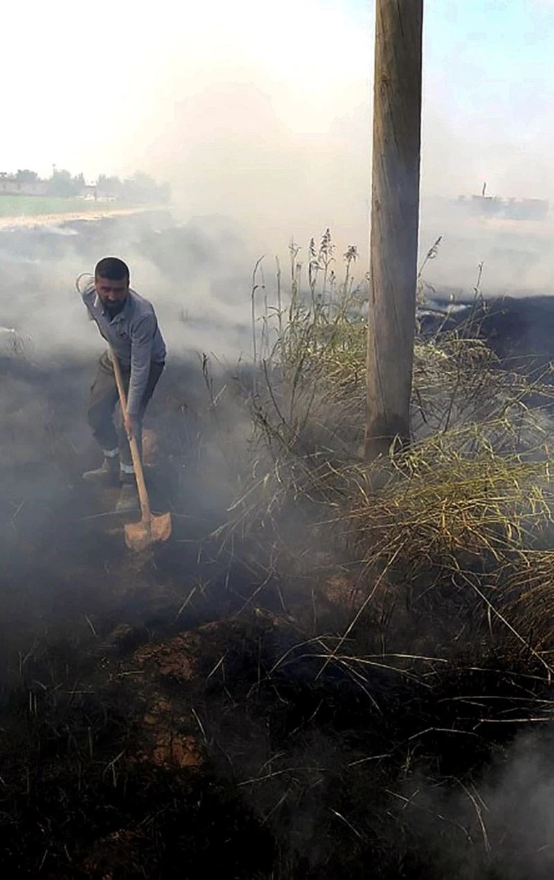 Şanlıurfa’da tarlada anız yakılması elektrik direklerine zarar verdi
