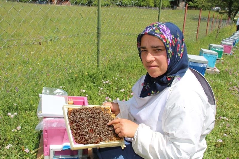 Arıcılık yaparak kızlarını okutuyor
