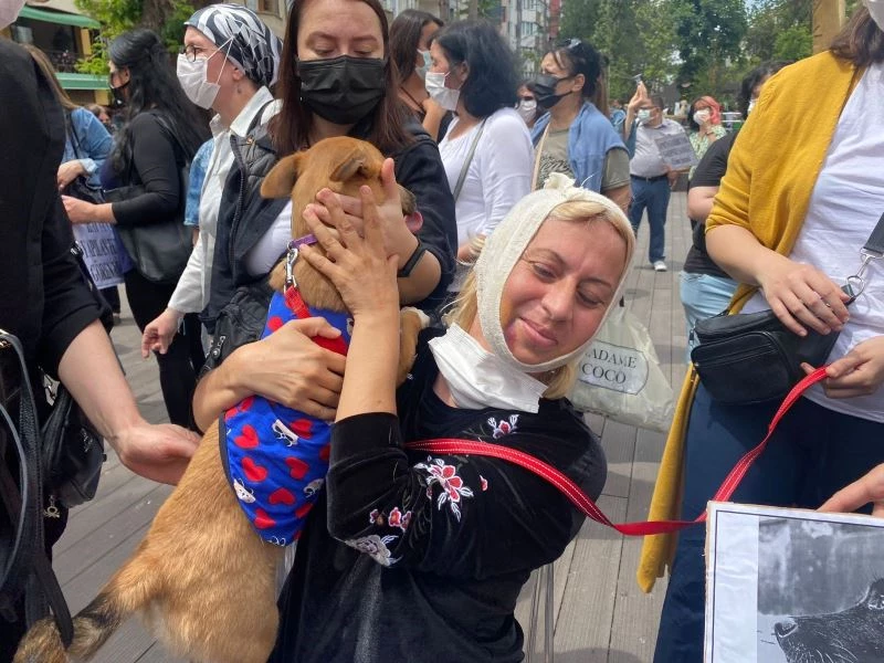 Hayvanseverler tepki göstermek için bir araya geldi
