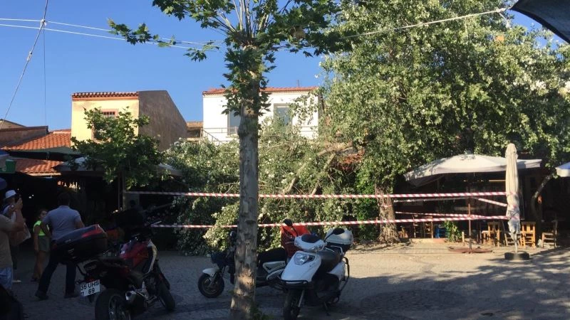 İkiye bölünen ağaç masaların üzerine devrildi, faciadan dönüldü
