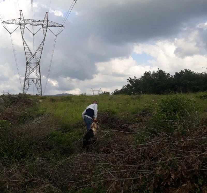 Mağaraya düşen keçi için zorlu kurtarma operasyonu
