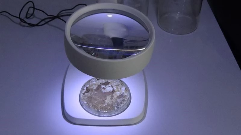 Bu çalışma müsilajı fırsata çevirebilir
