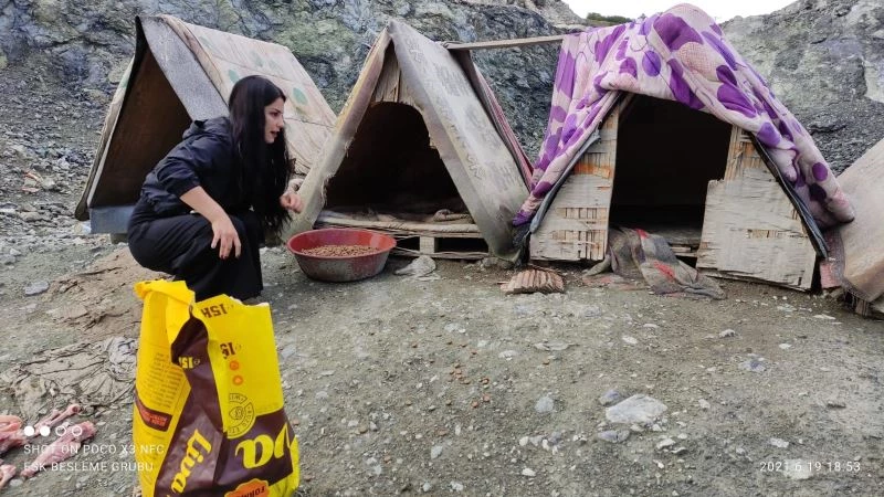 Yaz kış demeden sokaktaki dostlarını unutmuyorlar
