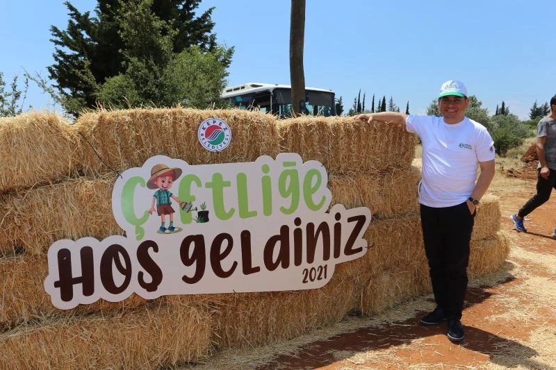Kepez’de buğday hasatı sonrası boşalan topraklara meyve ve sebze ekiliyor
