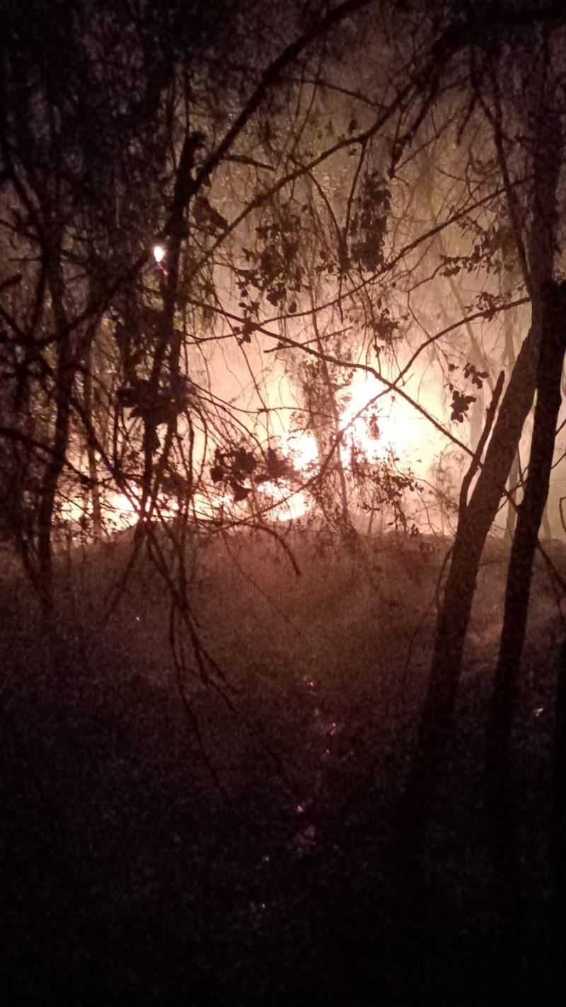 Adana’da orman yangını
