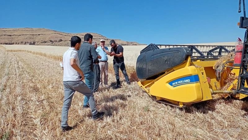 Siirt’te biçerdöver kontrolleri başladı
