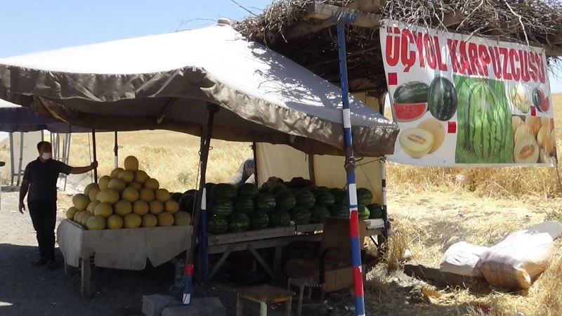 Kavurucu sıcakta karpuz ve kavun satarak ekmek parasını kazanıyor
