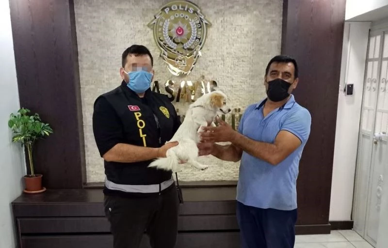 Çalındıktan sonra bulunan köpek sahibine teslim edildi
