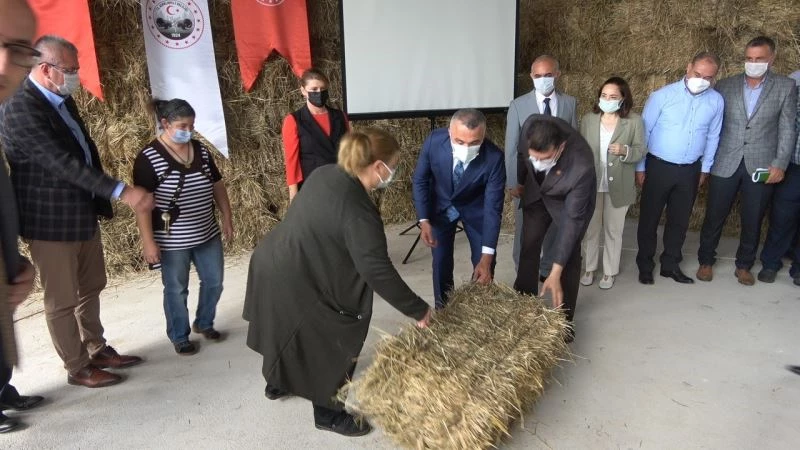 Kırklareli’nde ıslah edilen meralarda yetiştirilen hayvan yemleri besicilere dağıtıldı
