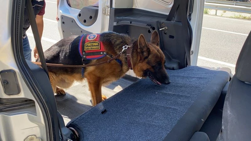 Tüm araçlar tek tek çevrildi, her yer didik didik arandı
