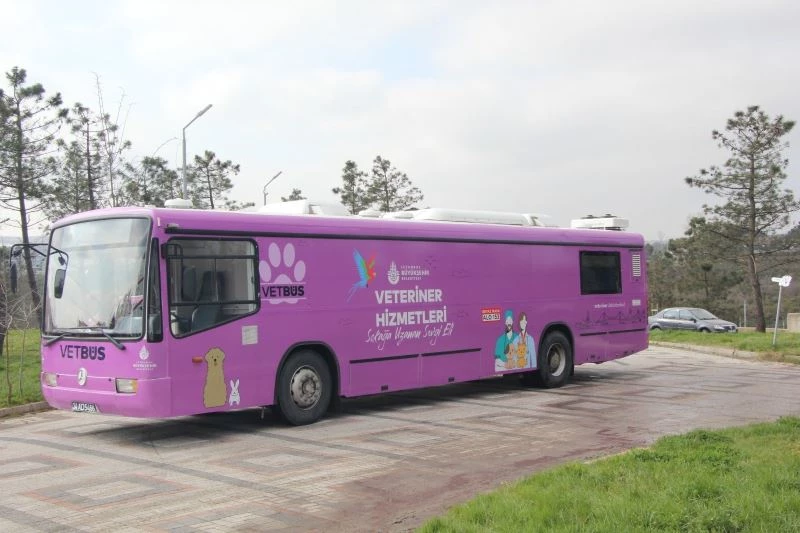 Vetbüs 3 gün boyunca Kartal’da

