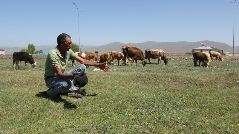 Ardahan Ziraat Odası Başkanı Sural: 