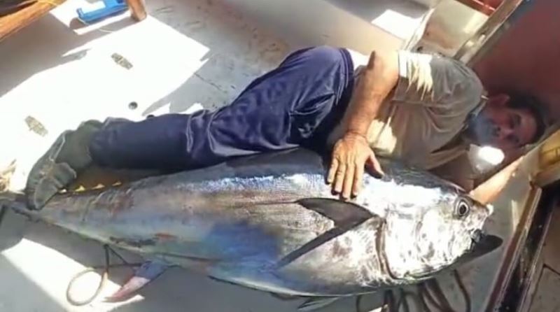Antalya’da balıkçının oltasına 130 kiloluk orkinos takıldı

