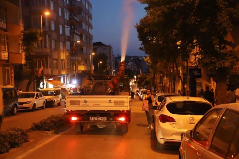 İlaçlama çalışmaları yoğunlaştı
