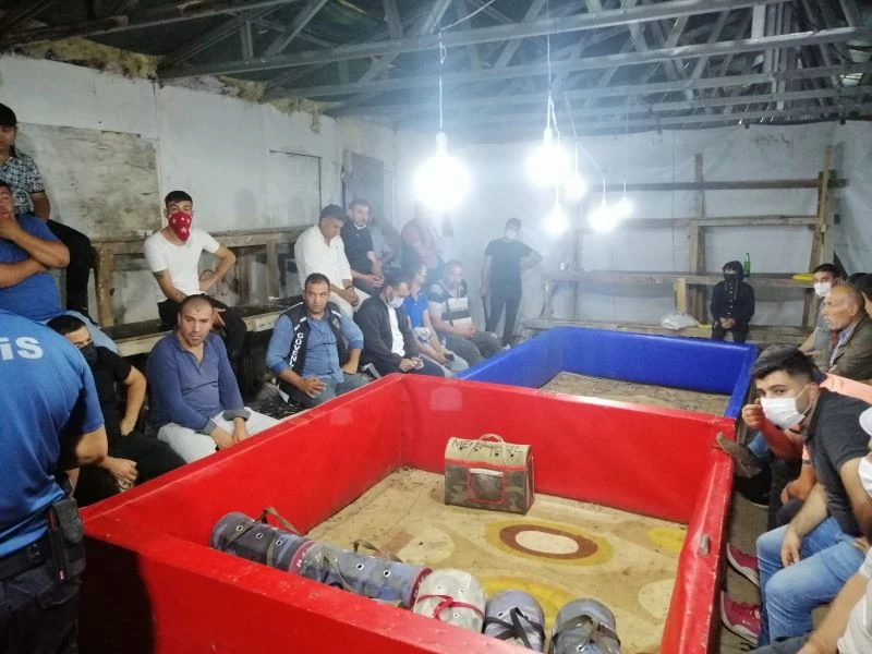 Horoz dövüştüren 23 kişiye 79 bin lira ceza kesildi
