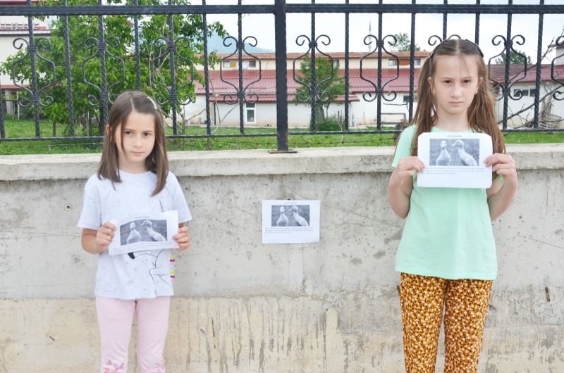 Kaybolan ördeklerini hazırladıkları afişleri duvarlara asarak arıyorlar
