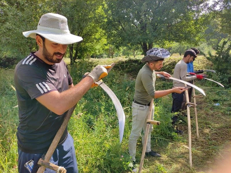 Şemdinli’de tırpanla ot biçme mesaisi
