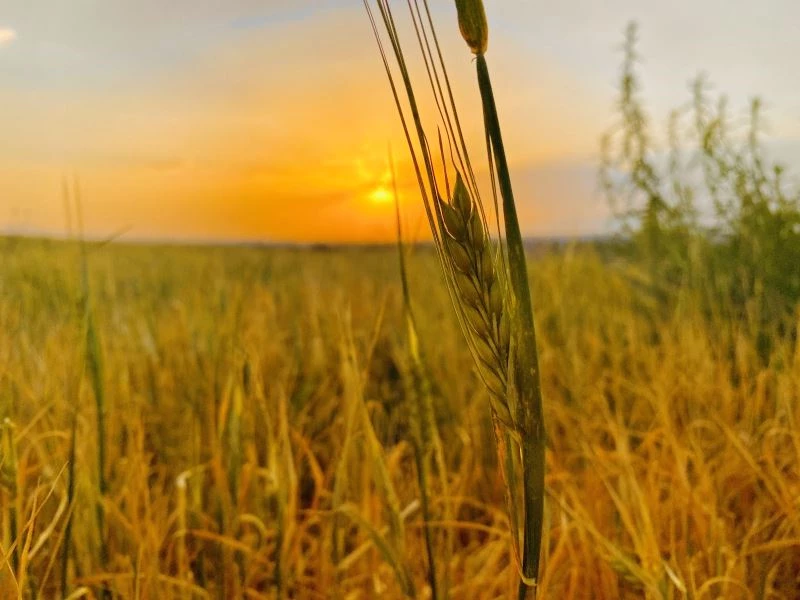 Ağrı’da göz kamaştıran gün batımı
