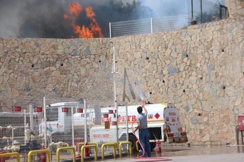 Bodrum’daki yangın akaryakıt istasyonuna ulaşmadan söndürüldü
