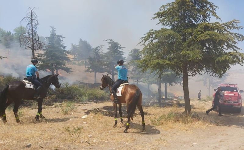 Doğum günü yangınla bitti, atlı jandarmalar fark etti
