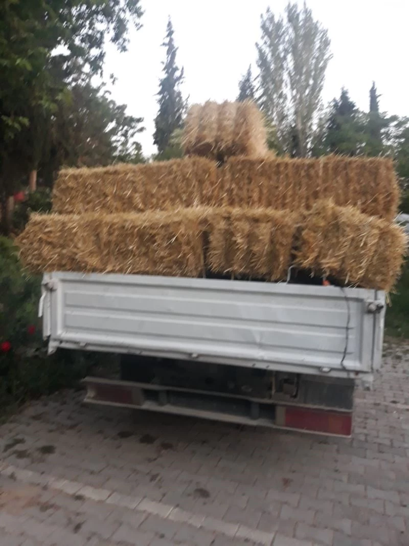 Hırsızlar şimdide çiftçinin samanına göz dikti
