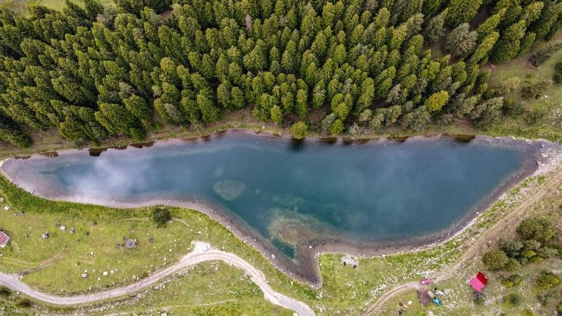 Havadan balığı andıran görüntüsü ile ilgi çekiyor
