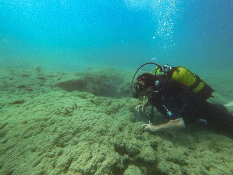 Doğu Akdeniz, su altı zenginliğiyle dalış tutkunlarını cezbediyor
