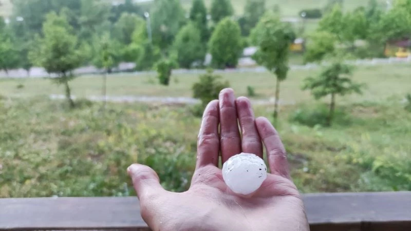 Artvin’in Şavşat ilçesine ceviz büyüklüğünde dolu yağdı
