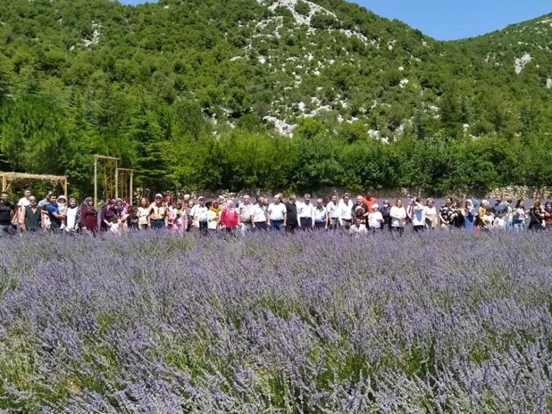 Lavanta bahçelerine ziyaretçi akını
