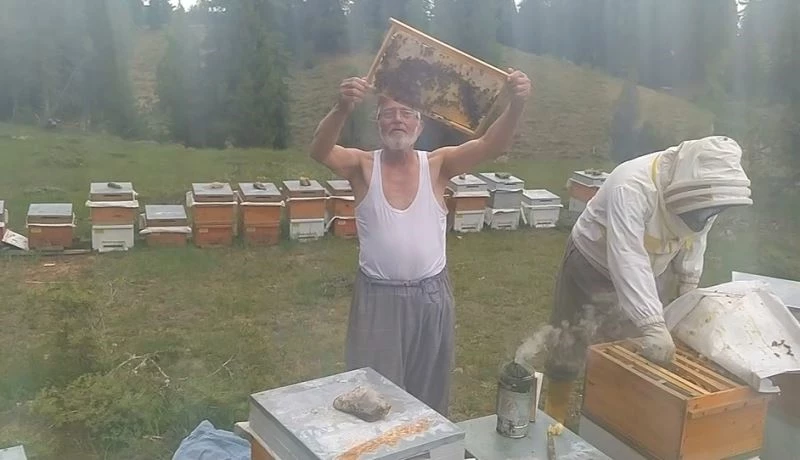 Gömleğini çıkarıp arıları sevdi
