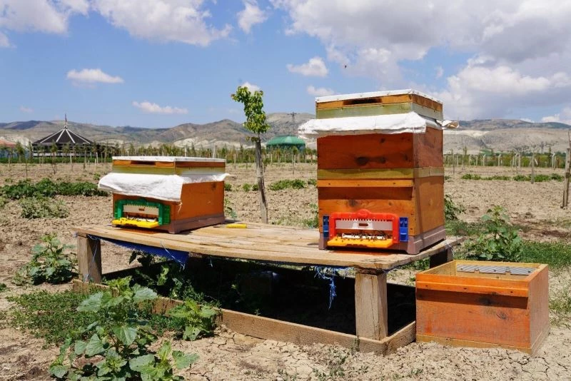 Sincan’da sıfır atık çalışmaları her geçen gün yoğunlaşıyor
