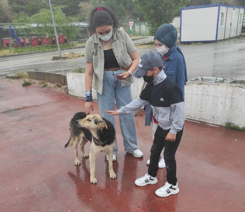 Çankaya’daki mülteci çocuklardan barınak ziyareti
