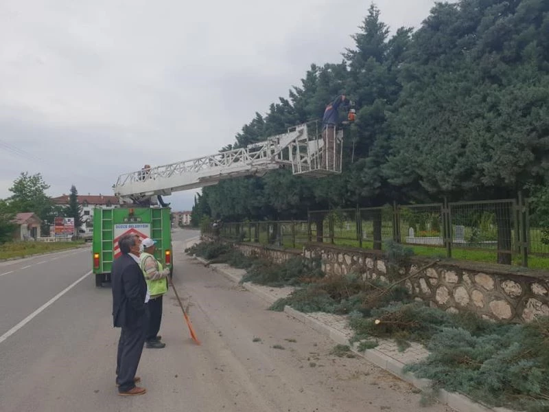 Şehir mezarlığında bakım onarım çalışmaları başladı
