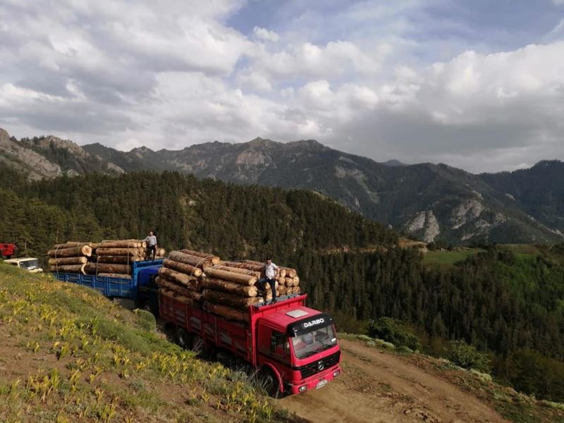 Ekmek parası için tomruk yüklü kamyonları tehlikeli dağ yollarında kullanıyorlar
