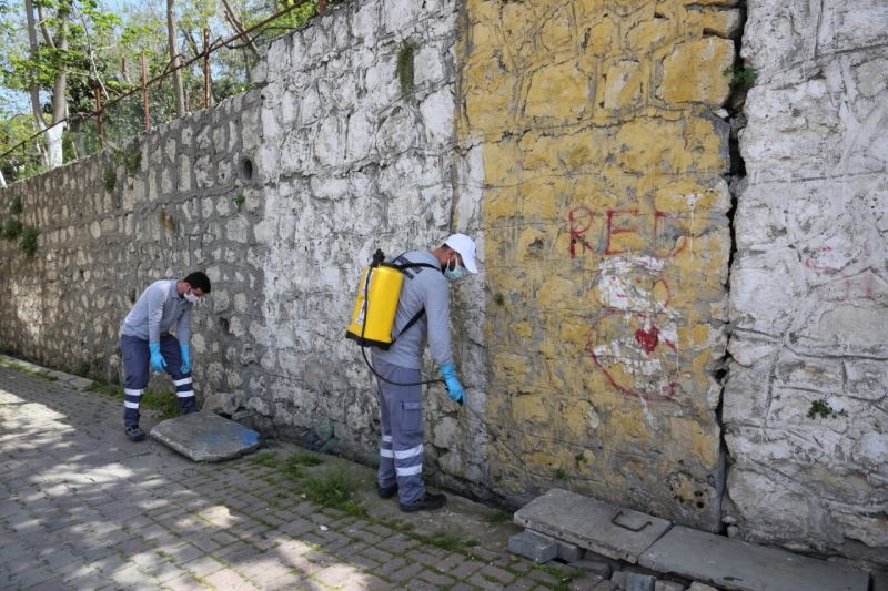 Küçükçekmece Belediyesi yaz aylarında sivrisineklere karşı etkin mücadele başlattı
