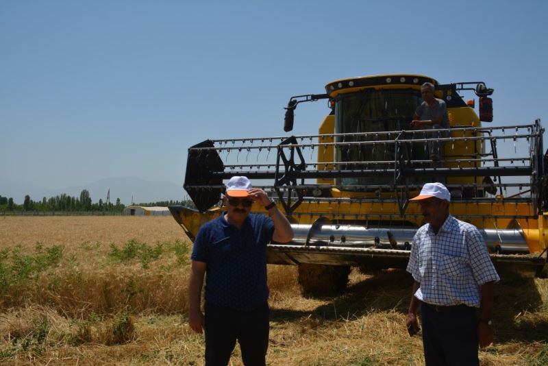 Doğu’nun Çukurova’sında buğday hasadı başladı
