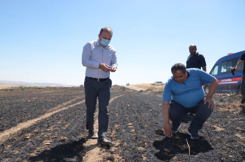 Aksaray’da 100 dekarlık tarladaki arpa ve buğday yanarak kül oldu
