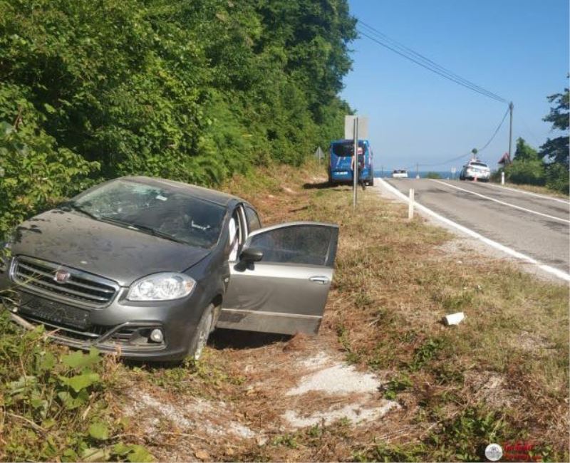 Yoldan çıkan otomobil şarampolde devrildi: 1 yaralı
