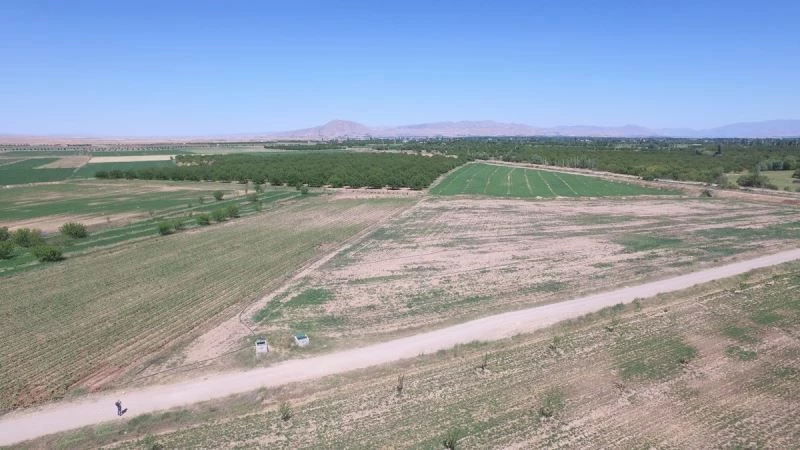 Sulu tarımla ekonomiye 1 milyar 497 milyon TL katkı sağlanacak
