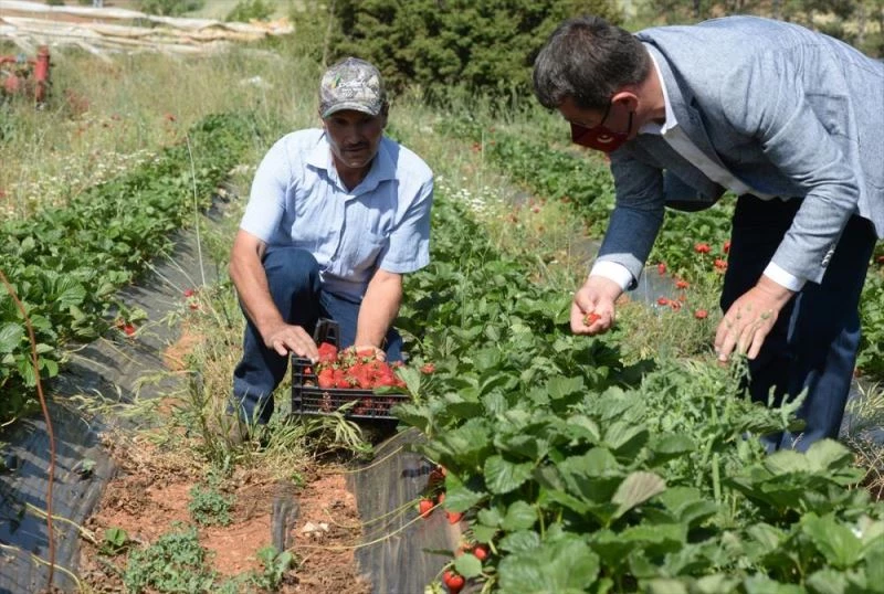 Markalaşma çalışmaları süren 