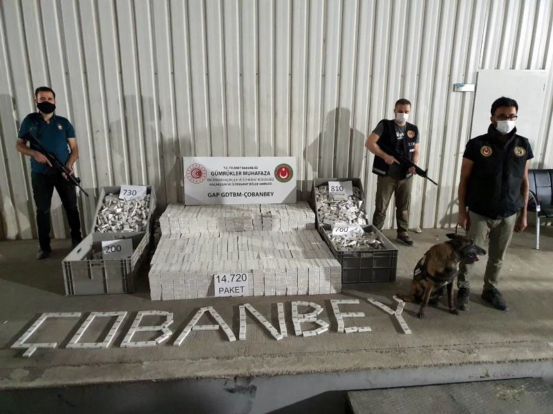 Sınır kapısında 14 bin 720 paket kaçak sigara ele geçirildi
