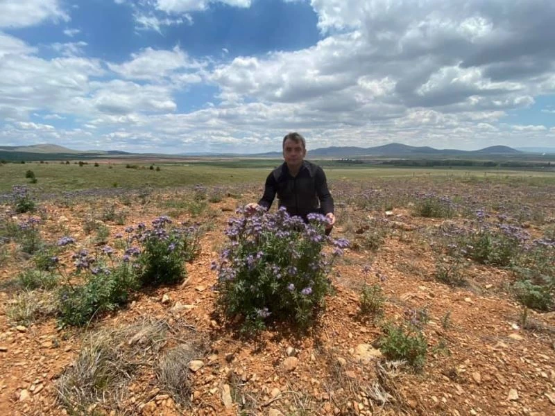 Bal ormanı arıcıları bekleniyor
