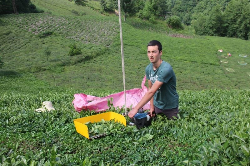 Rizeli kıvrak zekası ile çay toplamayı kolaylaştırdı
